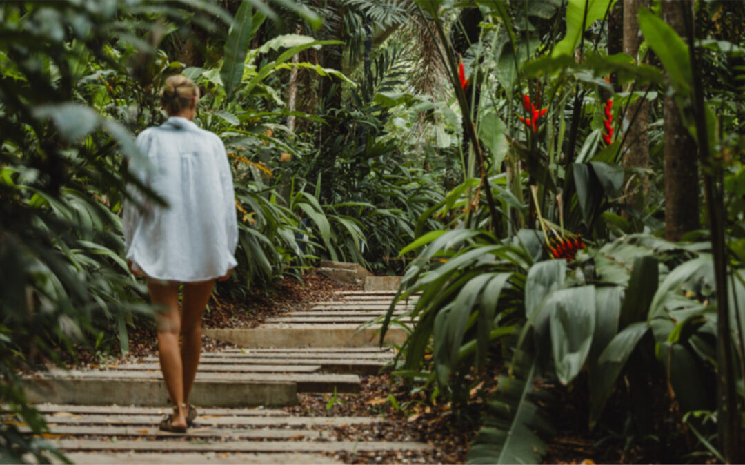 Sustainable Travel in Montezuma: 7 Ways nYa Hotel Reduces Your Footprint