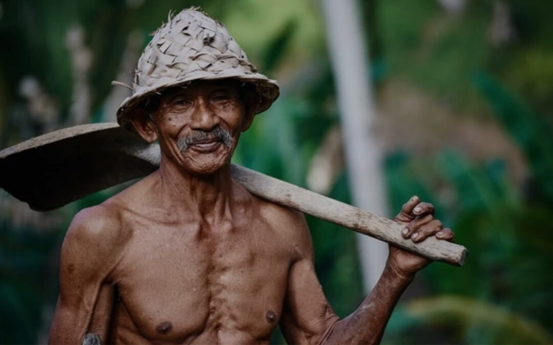 The Blue Zone Lifestyle: How Staying at nYa Hotel Supports LongevityTravel isn’t 