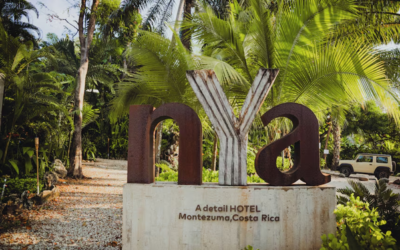 Key Factors to Consider When Comparing Hotels