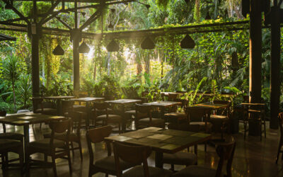 Agrá at nYa Hotel: A Kitchen Rooted in Place