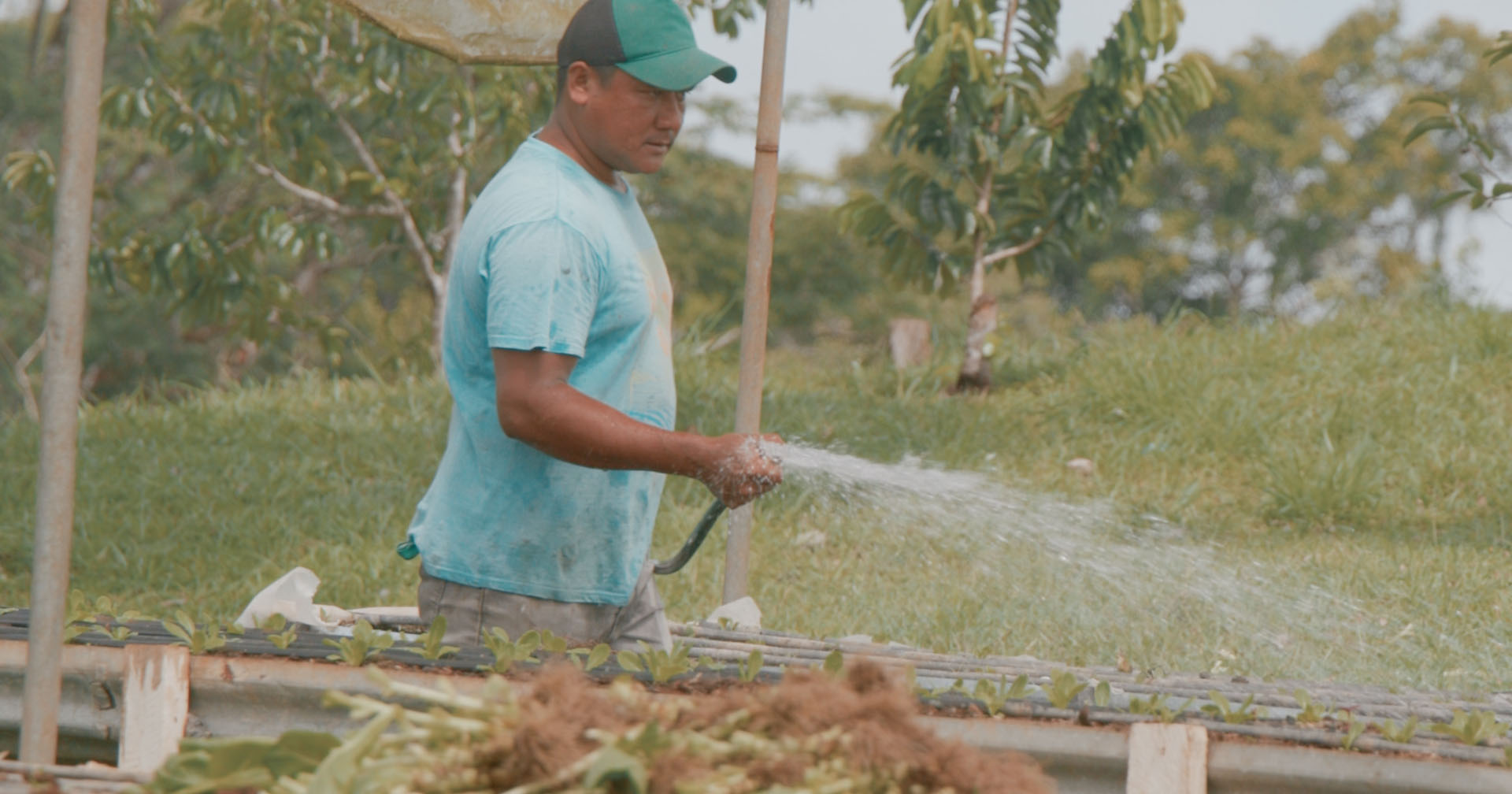 Agrá at nYa Hotel: A Kitchen Rooted in Place
