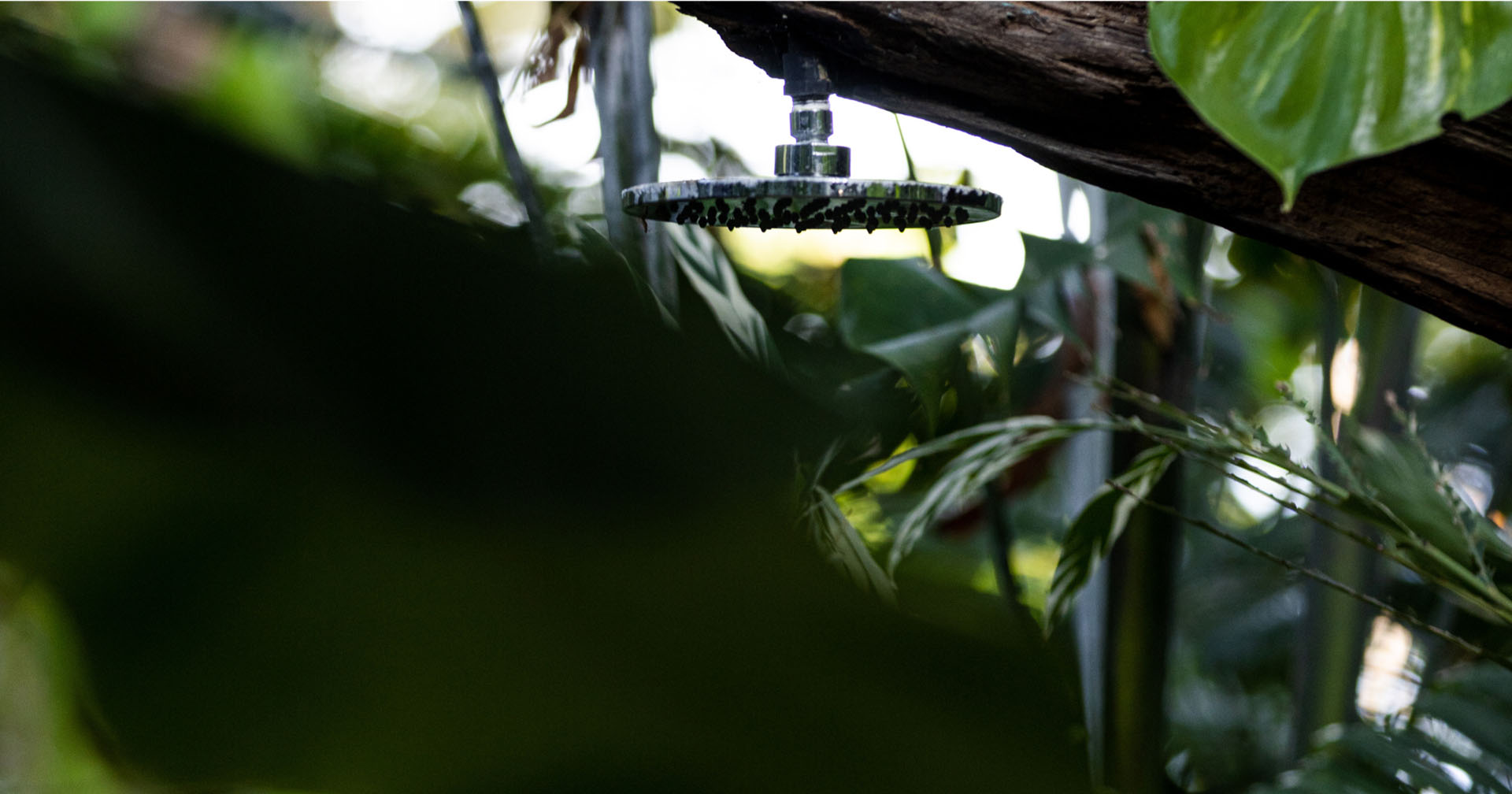 The Green Fee at nYa Hotel