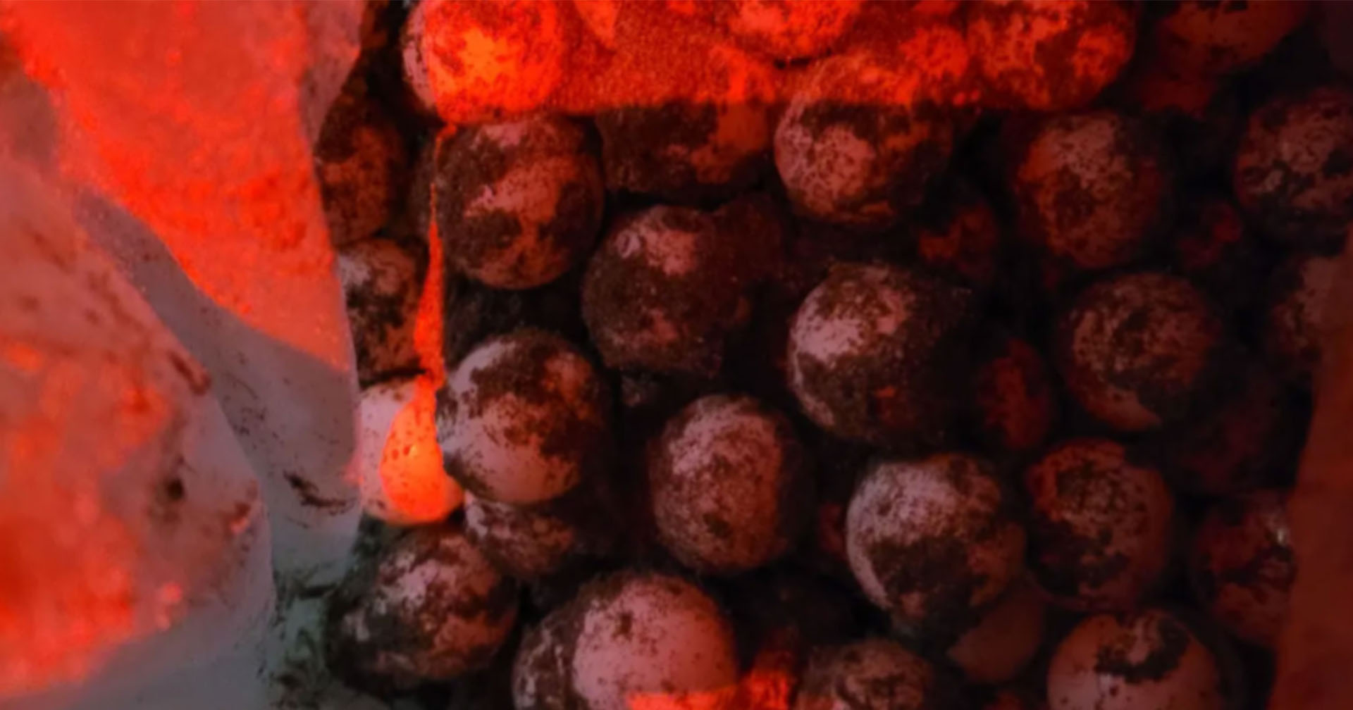 The Green Fee at nYa Hotel