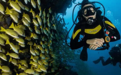 Learn to Dive in Montezuma: Why nYa Hotel Is the Perfect Base 