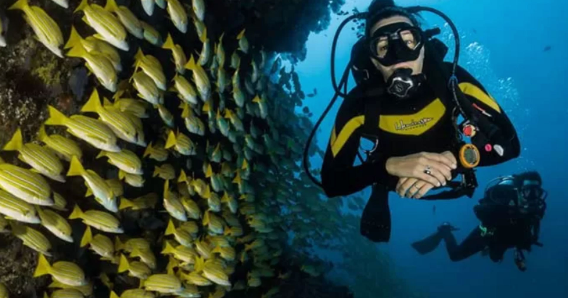 Learn to Dive in Montezuma: