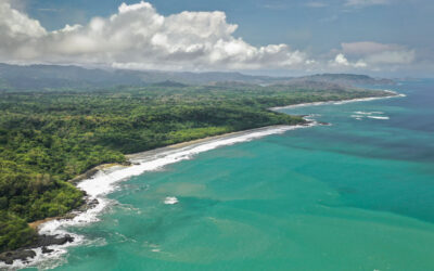 Montezuma in 72 Hours: A First-Timer’s Guide from nYa