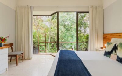 Why Travelers Prefer Deluxe King Rooms with Nature Views