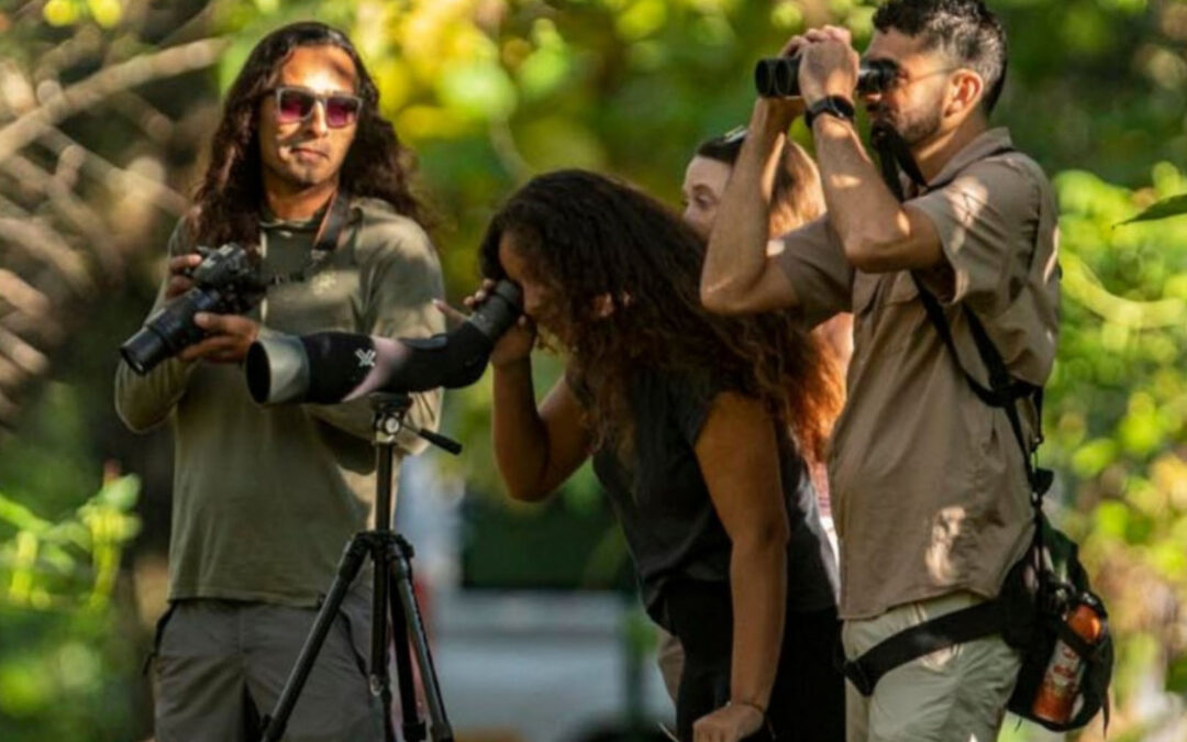 Birdwatching in Montezuma: