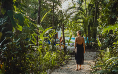 Why Professional Massage Therapy Matters for Overall Wellbeing