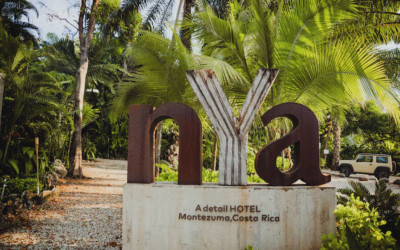 What to Know Before You Book a Boutique Hotel in Montezuma 