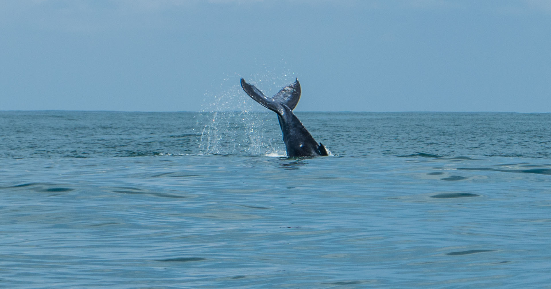 Montezuma from May to August: When Costa Rica Slows Down (and Gets Better)