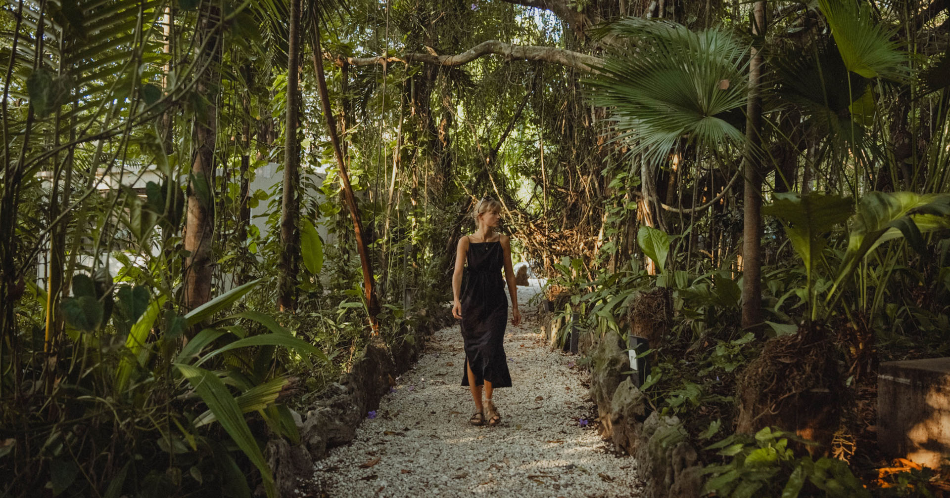 Cuando la naturaleza se vuelve más ruidosa: la temporada de fauna en Montezuma